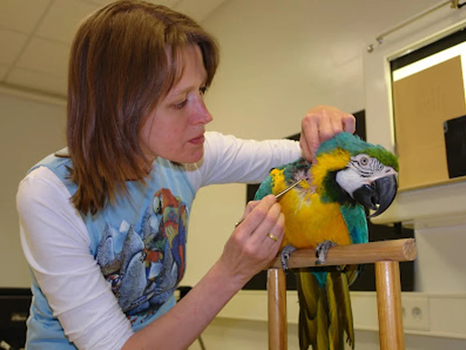 Tierärztliche Fachpraxis für Vögel & Exoten Dr. med. vet. Heike Reball, München