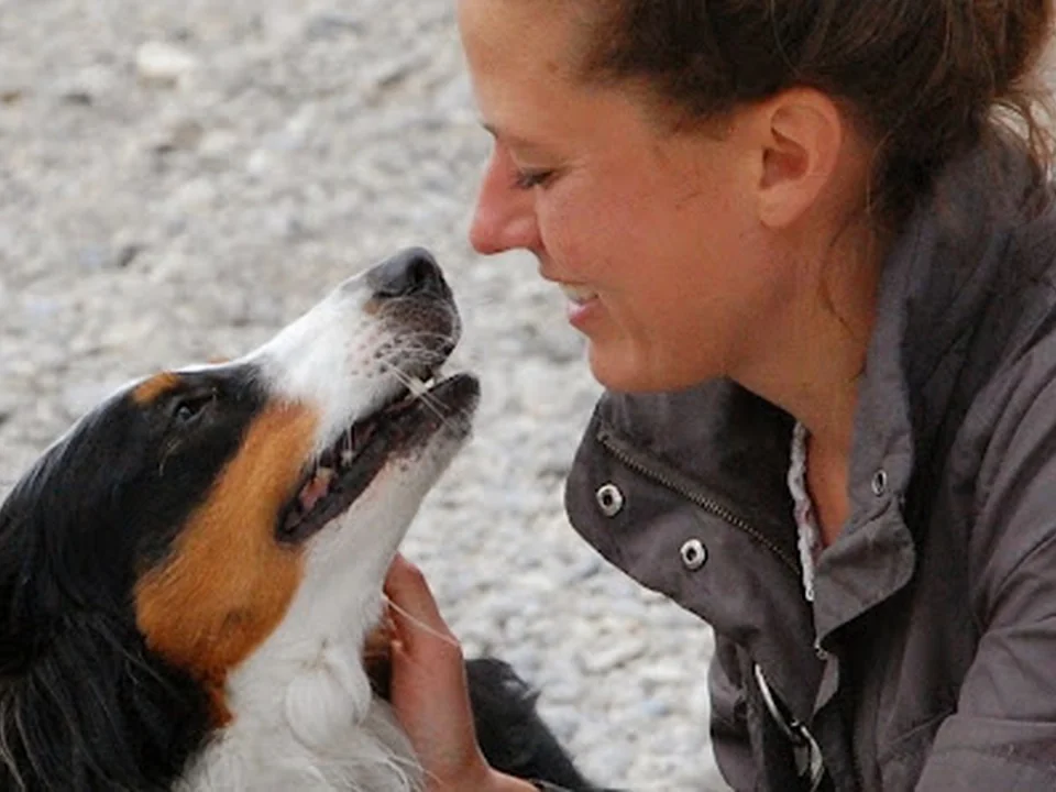 Leinenlos- Hundetraining Julia Höhn, München