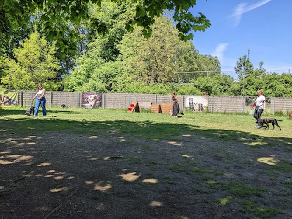 Hundeschule Freude am Hund – München Olympiapark