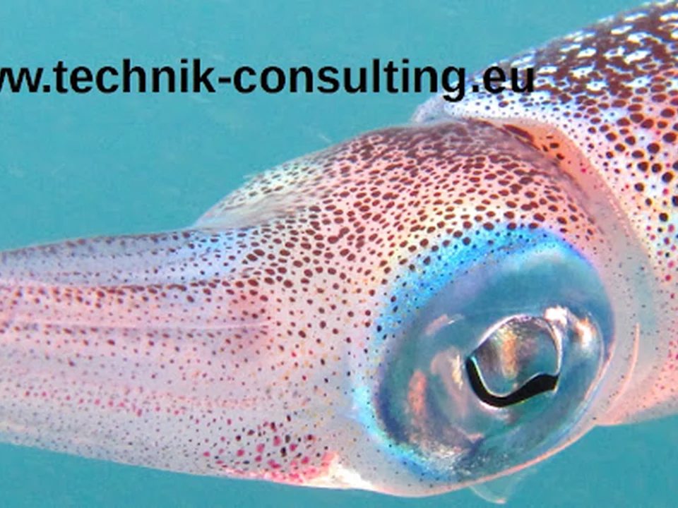 Technische Unternehmensberatung / Ingenieurbüro - Dirk Brunner, München