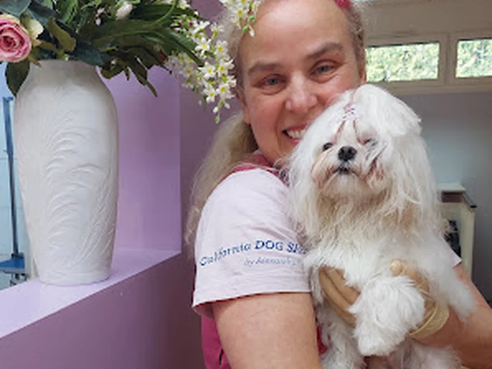 California Dog Spa by Alexandra, München