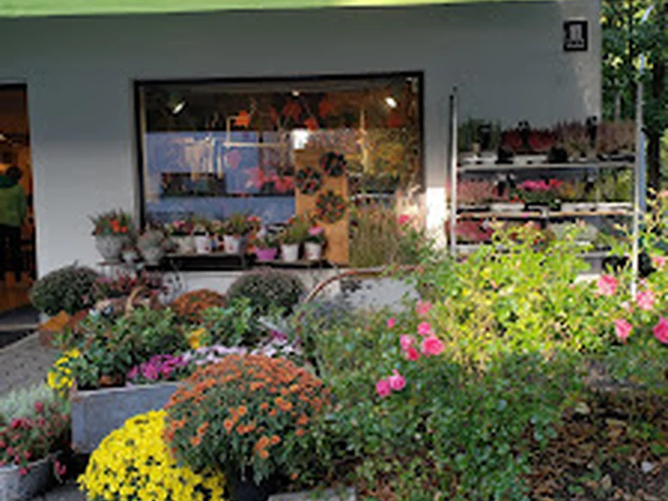 Blumenhaus Lex Angelika, München