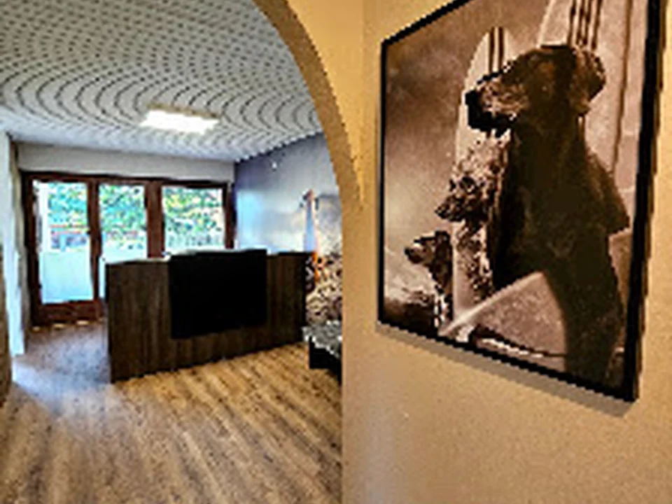 WE ARE DOGS - Hundetagesstätte & Resort, München