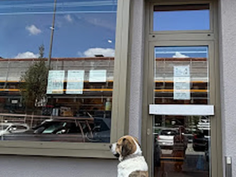 Metzgerei Magnus Bauch Einzelhandel, München