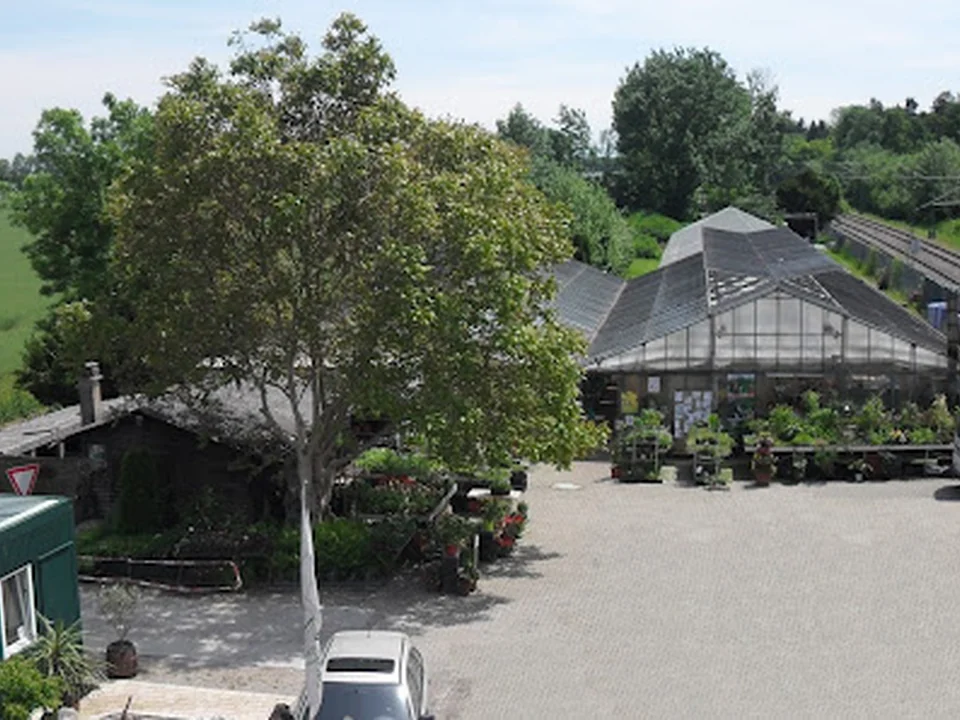 Gärtnerei Grabrucker Friedhofsgärtnerei, München