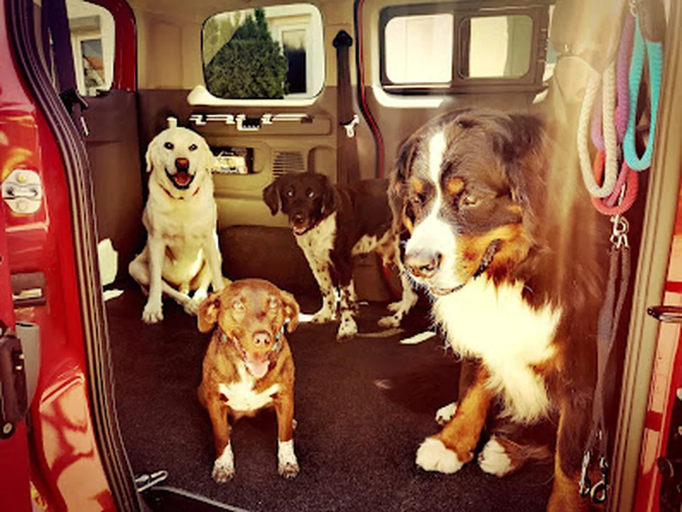 Monaco Pets, München