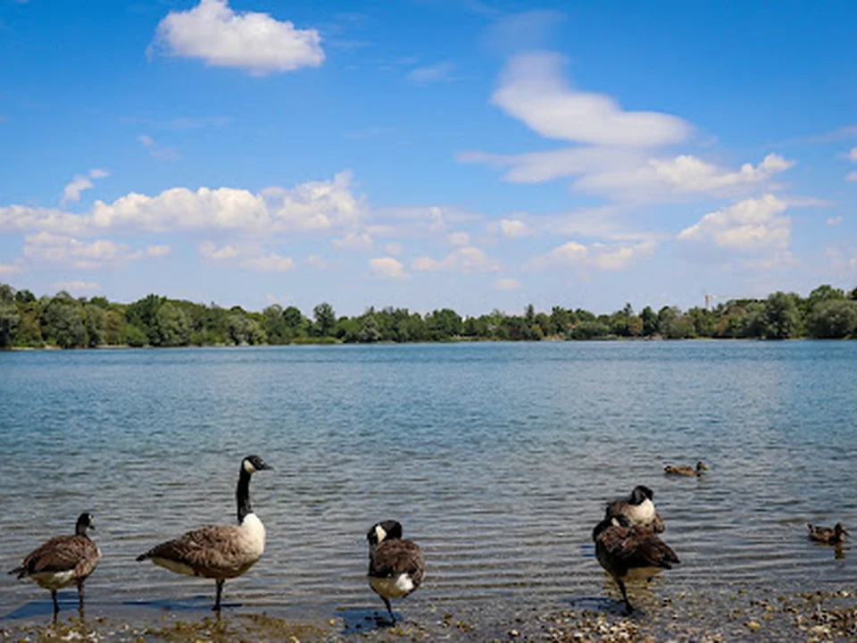 Feldmochinger See, München