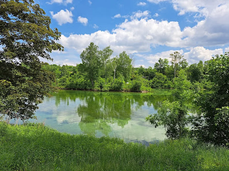 Poschinger Weiher, München