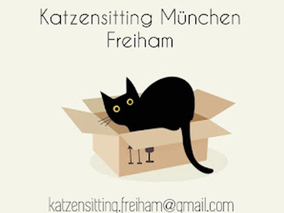 Katzensitting München Freiham