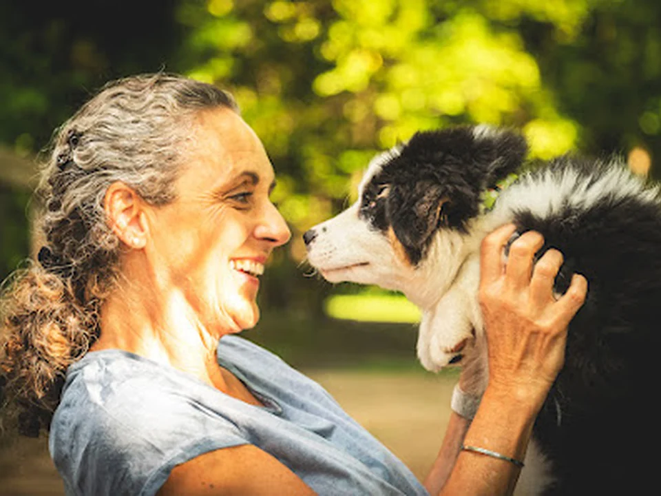 SIRIUS® Hundeschule München | Leitung Tierärztin Dr. Astrid Schubert