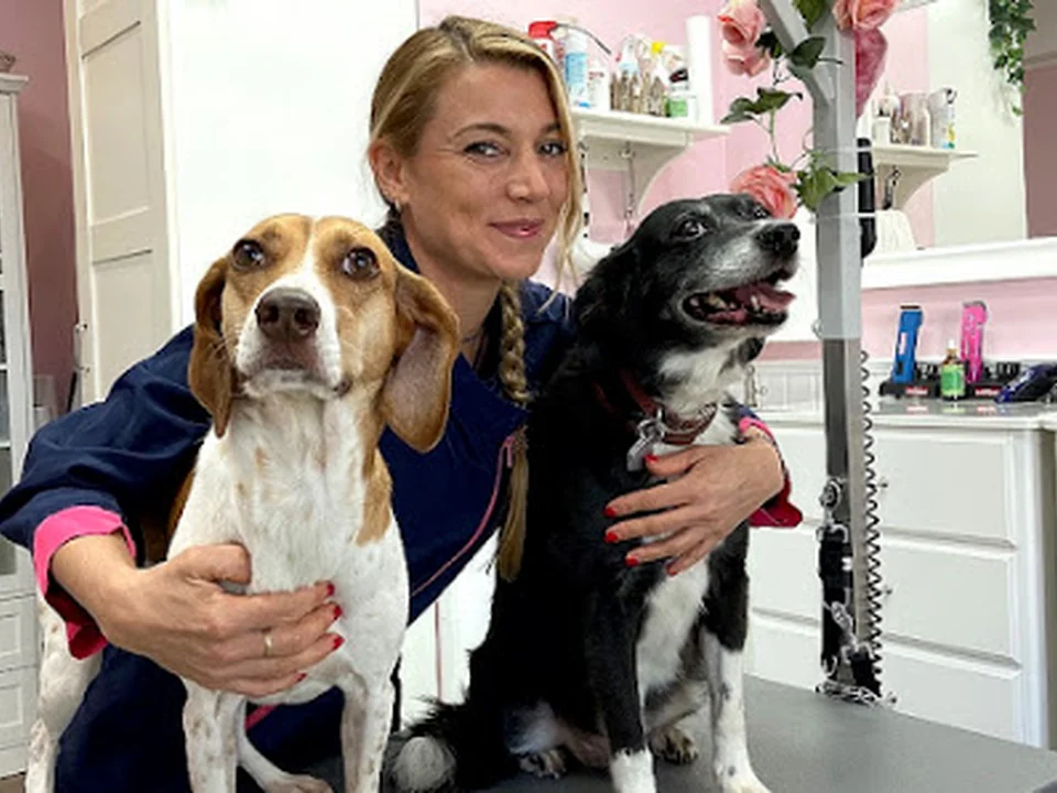 Marion's Fellpflege - Hundefriseur, München