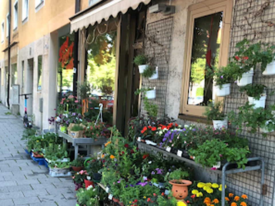 Blumen Rausch, München