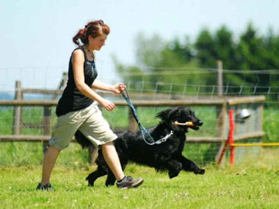Hundepension Maier Standort München / Station Hol- und Bringservice