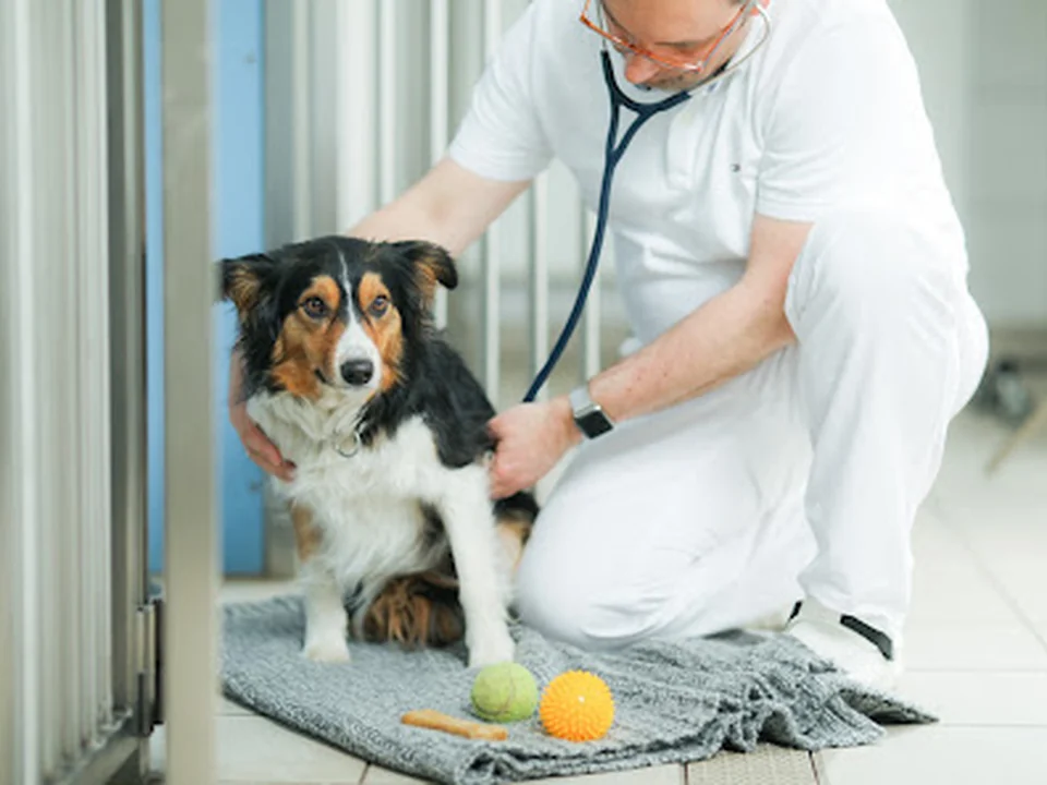 Tierklinik Ismaning, München