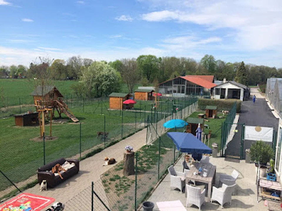 Hundepension am Birkensee, München
