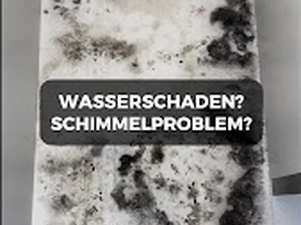 DN Schadensanierung, München