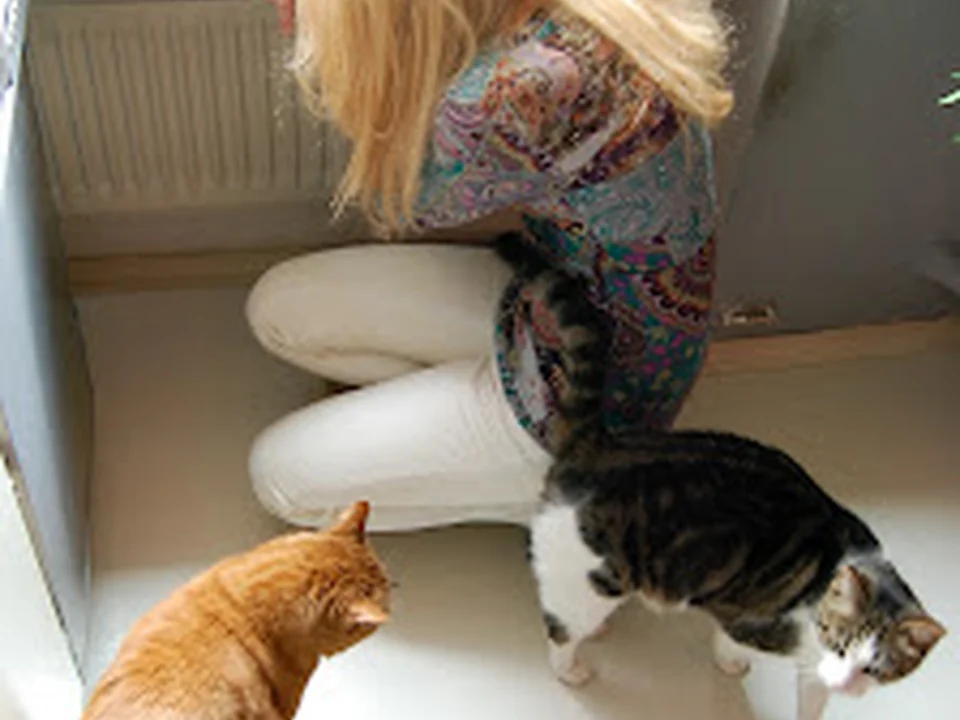 tierhertz - Katzenbetreuung Katzensitter Kleintierbetreuung von Poing bis München