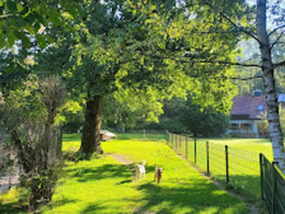 Hundepension Kufner GmbH, München