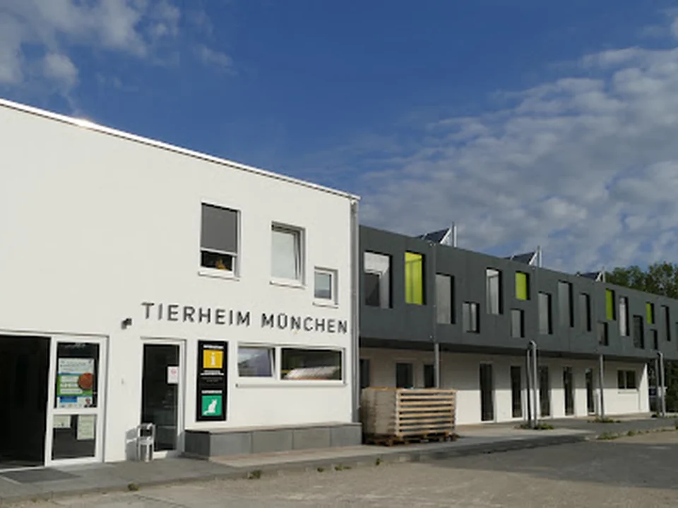 Tierheim München gGmbH