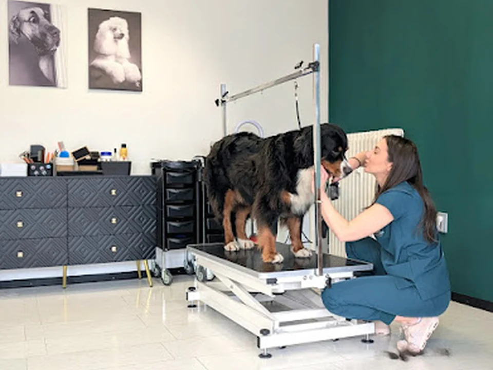 La Jolie Vie Hundesalon, München
