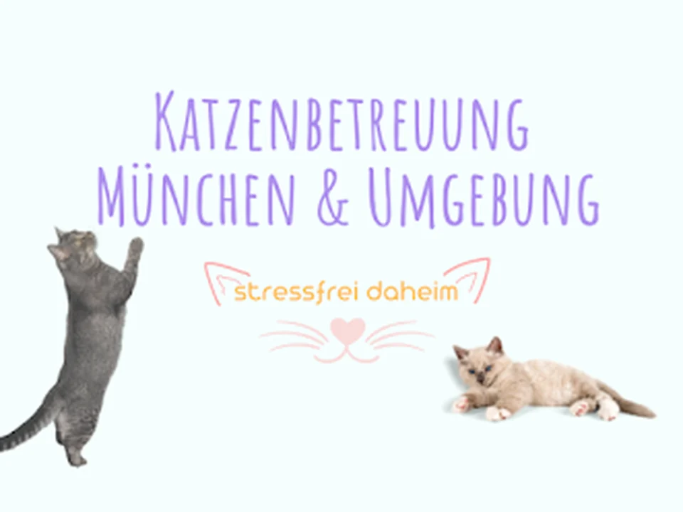 Katzenbetreuung-daheim, München