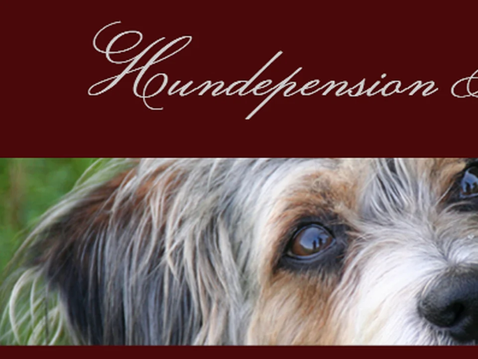 Hundepension Feldsieper, München