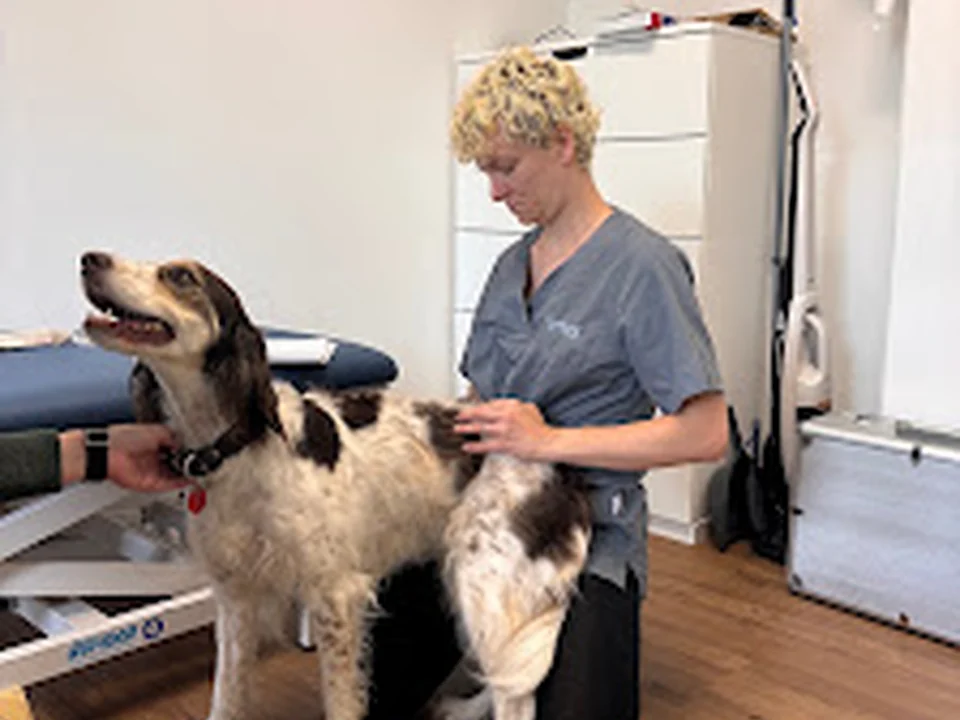 Hunde Therapie Zentrum, München