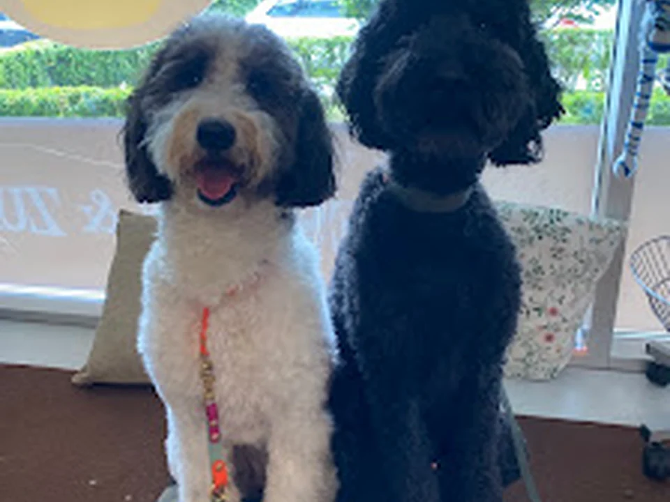 Hunds Glück München Hundesalon & Zubehör