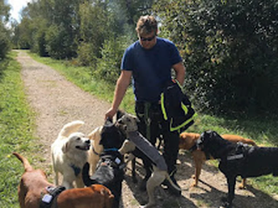 Hundebetreuung und Gassiservice Schobel, München