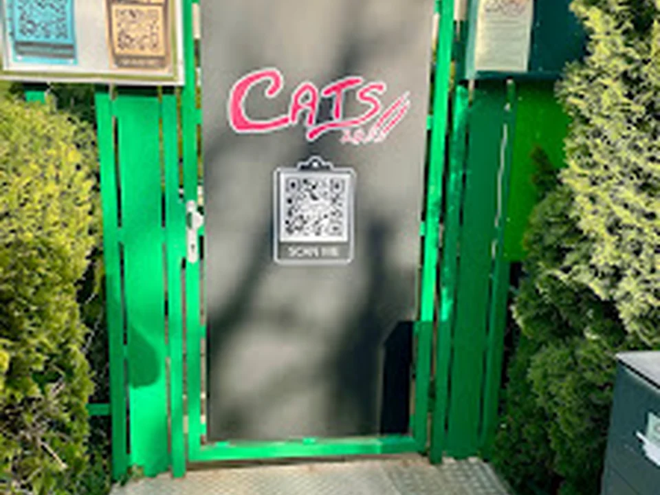 Cats 2.0 Swingerclub, München