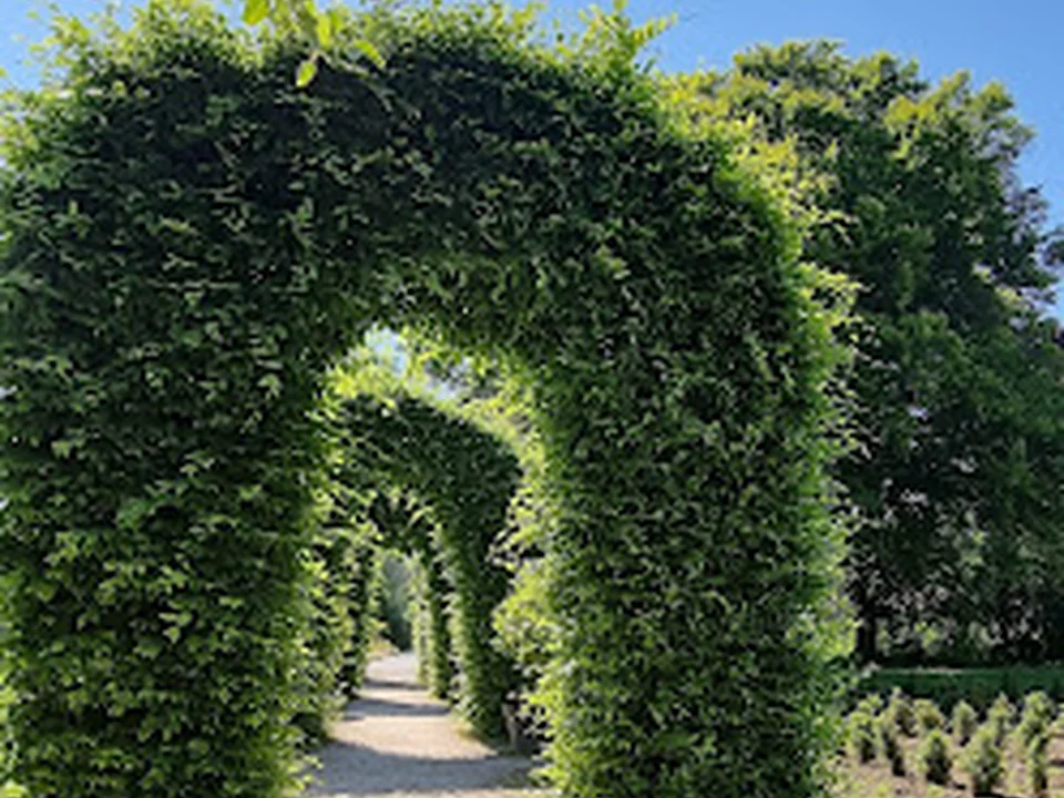 Rosengarten, München
