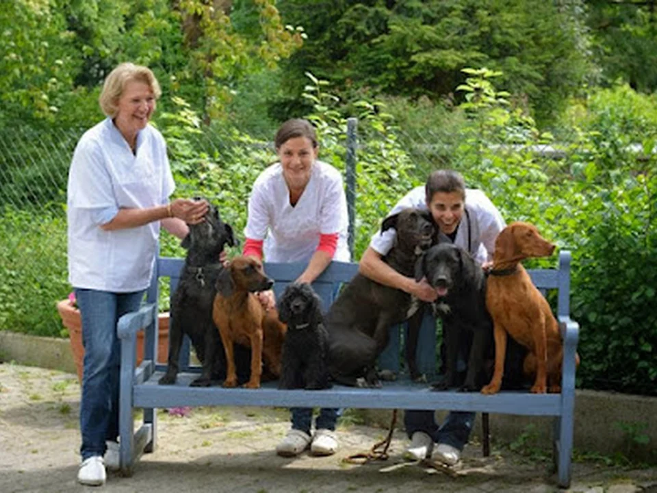 Kleintierklinik München Riem - Dres. med. vet. Lutz