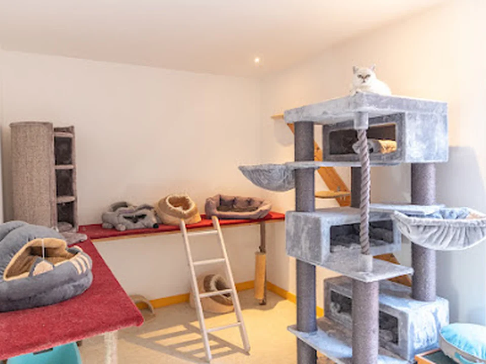 Katzenpension und Kleintierpension Anita Graf, Landkreis Ebersberg, nahe München - Katzen- und Kleintierpension Graf