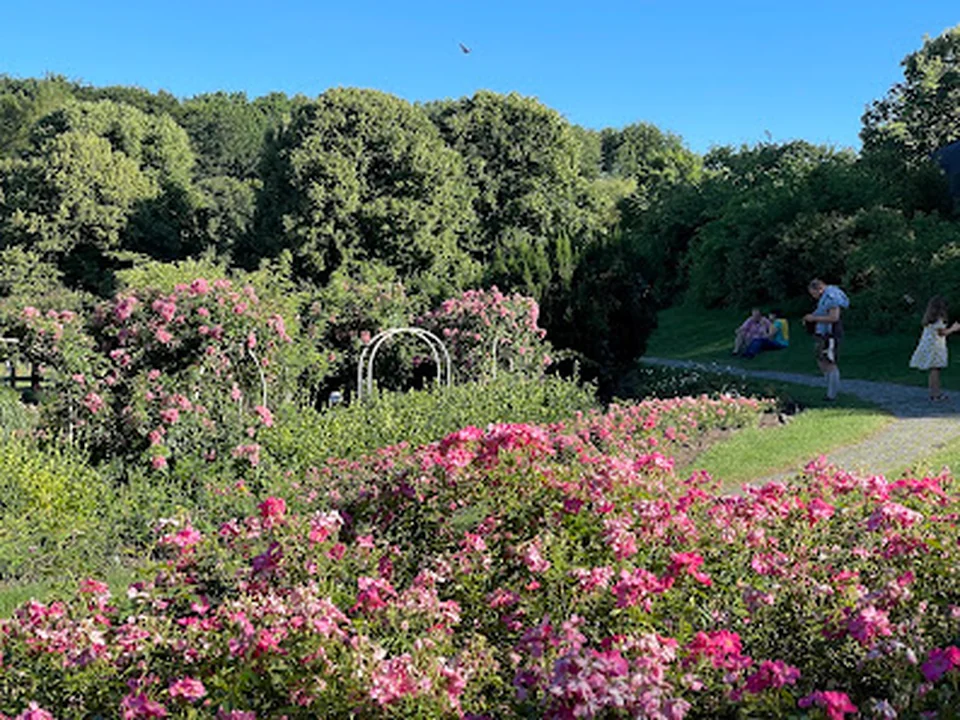Rosengarten im Westpark, München